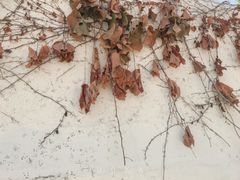 -文化名人故居一条街