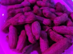 -粉墨特色菜·烧烤音乐酒馆