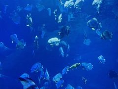 -威海华夏城景区