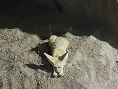 -杭州野生动物世界