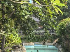 -亚马逊丛林水乐园