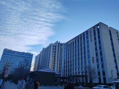 -首都医科大学附属北京潞河医院