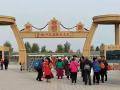 -金塔沙漠胡杨林景区