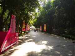 -深圳国际园林花卉博览园