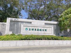 -王借岗森林公园