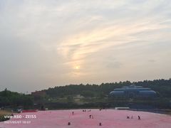 -大塘金香草谷