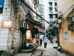-胖子好盐水鸭(总店)
