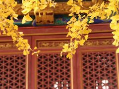 -宝通禅寺