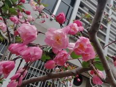 -星巴克臻选(外滩中心店)