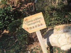 -常州环球恐龙城维景国际大酒店