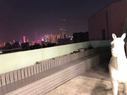 -DOS HOP潮上舞蹈