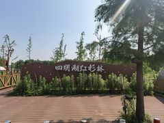-四明山国家森林公园
