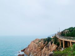 -广东惠东海龟国家级自然保护区
