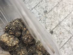 -叶氏麻糍(鼓浪屿店)