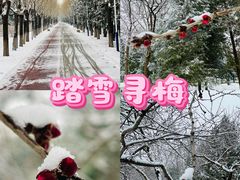 -绿堤公园