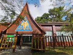 -野象谷景区