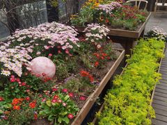 -冰冰龙虾·江湖菜·花园江景餐厅