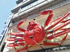 -蟹道乐(道顿堀本店)