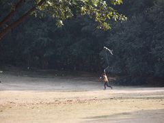 -南国桃园旅游度假区