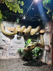 -Zoolung Zoolung动物主题公园(海信广场店)