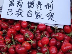 -桃源市场(解放路店)