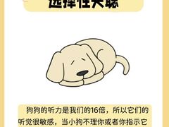 -美联众合动物医院·24h转诊中心