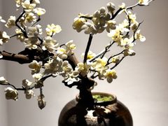 -梅花境(万科店)