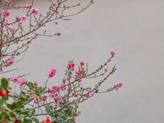 -乌山风景区