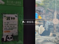 -武汉动物园