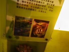 -湖南省科学技术馆