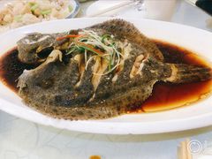 清蒸多宝鱼-登瀛楼饭庄(领世郡店)