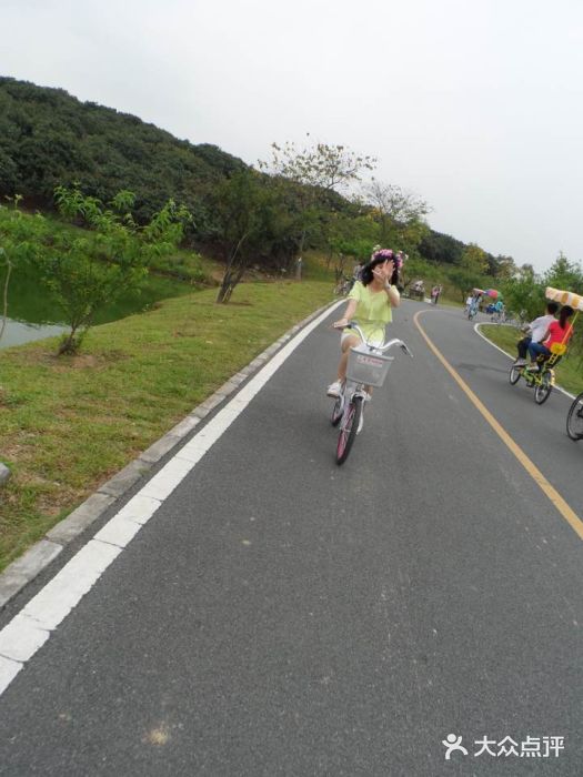 松山湖南湖湾露营营地图片