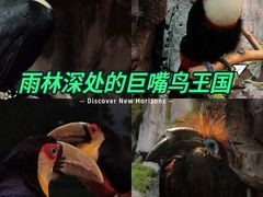 -正佳雨林生态植物园