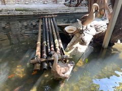 -优之名鹅城