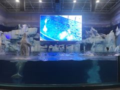 -福州罗源湾海洋世界旅游区