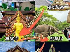 -西双版纳原始森林公园