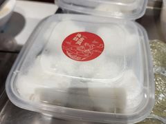 -海丝金凤(金鱼店)