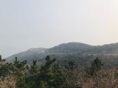 -怪坡茶馆