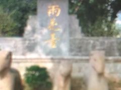 -雨花胜境