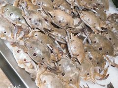 -吉布鲁牛排海鲜自助(武侯泛悦国际店)