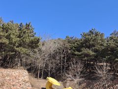 -青龙山景区
