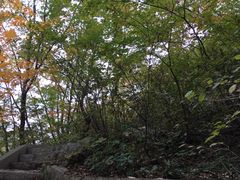 -大连天门山国家森林公园