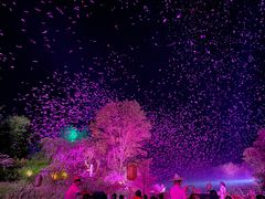 -常德桃花源景区