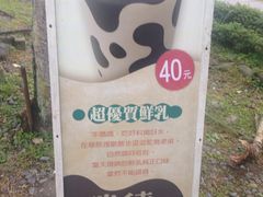-瑞穗牧场