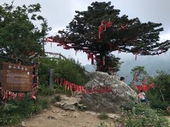 -牛背梁国家森林公园