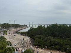 -宝安西湾红树林湿地公园