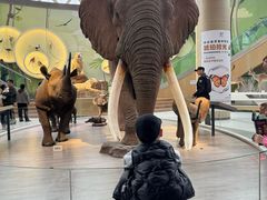 -陕西自然博物馆