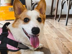 -In Cafe隐食研室