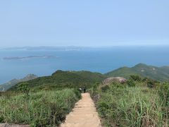 -杨梅坑