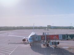 -合肥新桥国际机场-航站楼